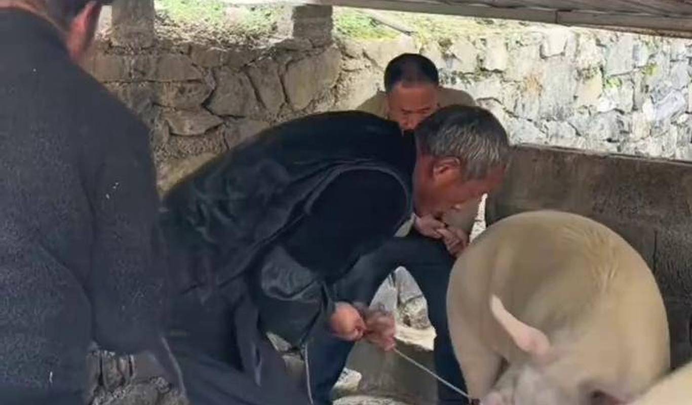 #女子杀2头大肥猪分给120名留守儿童