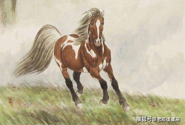 马到成功代表什么生肖，独家解答