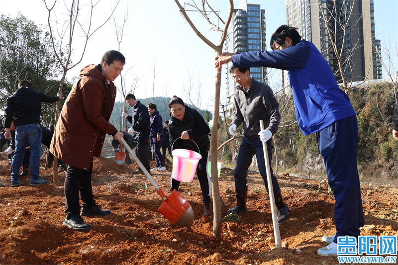 完美电竞植树添新绿 不负好春光！2024年贵阳贵安义务植树活