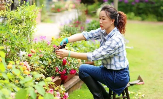 绿意盎然的公园：勤劳的园丁翁晓路的故事