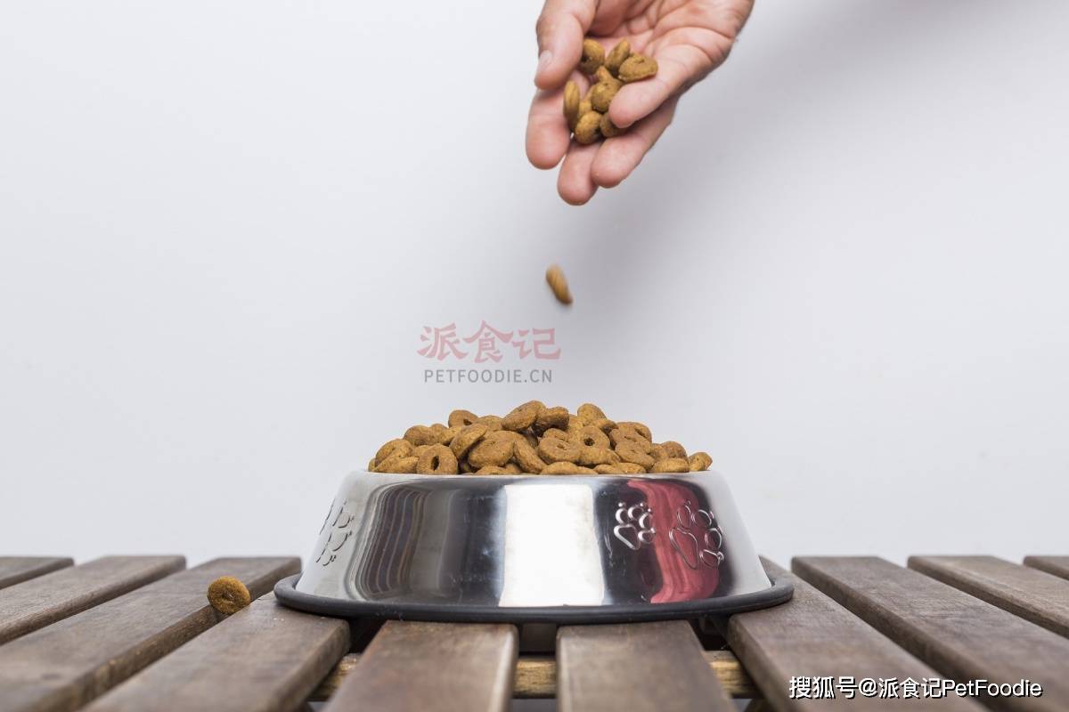 怎么选对狗粮？生食、自制还是干粮(图4)