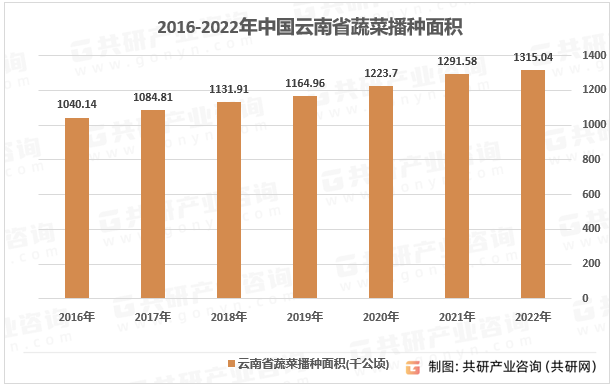 多米体育中国蔬菜种植行业发展态势与战略咨询(图1)