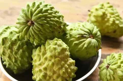 原創
            已消失十幾年，引臺灣人懷