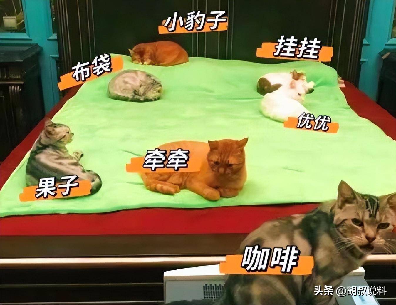 原创带着儿子二婚嫁影帝张译，如今18年过去，才知道她嫁的有多值