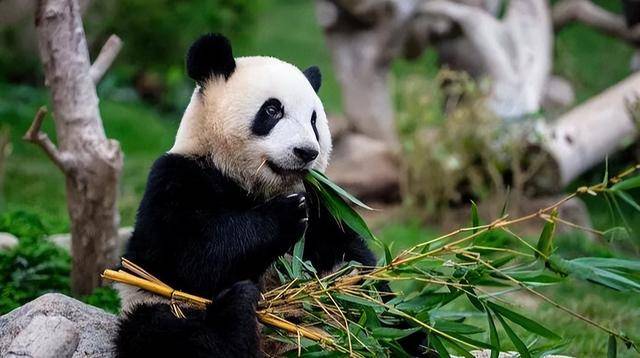 稻城亚丁旅游攻略 这篇最全攻略请收下