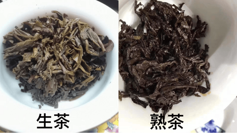 原创熟茶与生茶的，主要有什么区别？看完涨知识了！