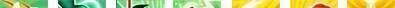 原创《神武4》手游宠物研讨会第4期：过渡宠打造思路与加点