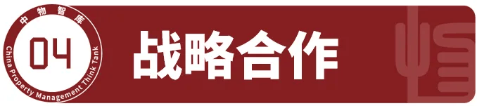 文章配图-5