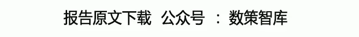 2024计算机辅助翻译技术发展与应用蓝皮书（附下载）