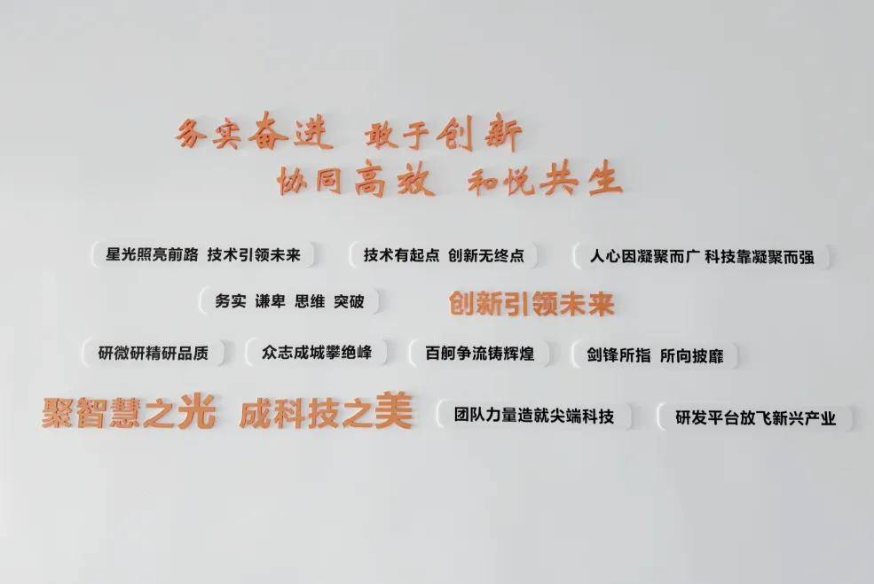 华为文化为何是高绩IM电竞 IM电竞平台效文化？协会“助企讲座”第七站走进红星杨科技(图49)