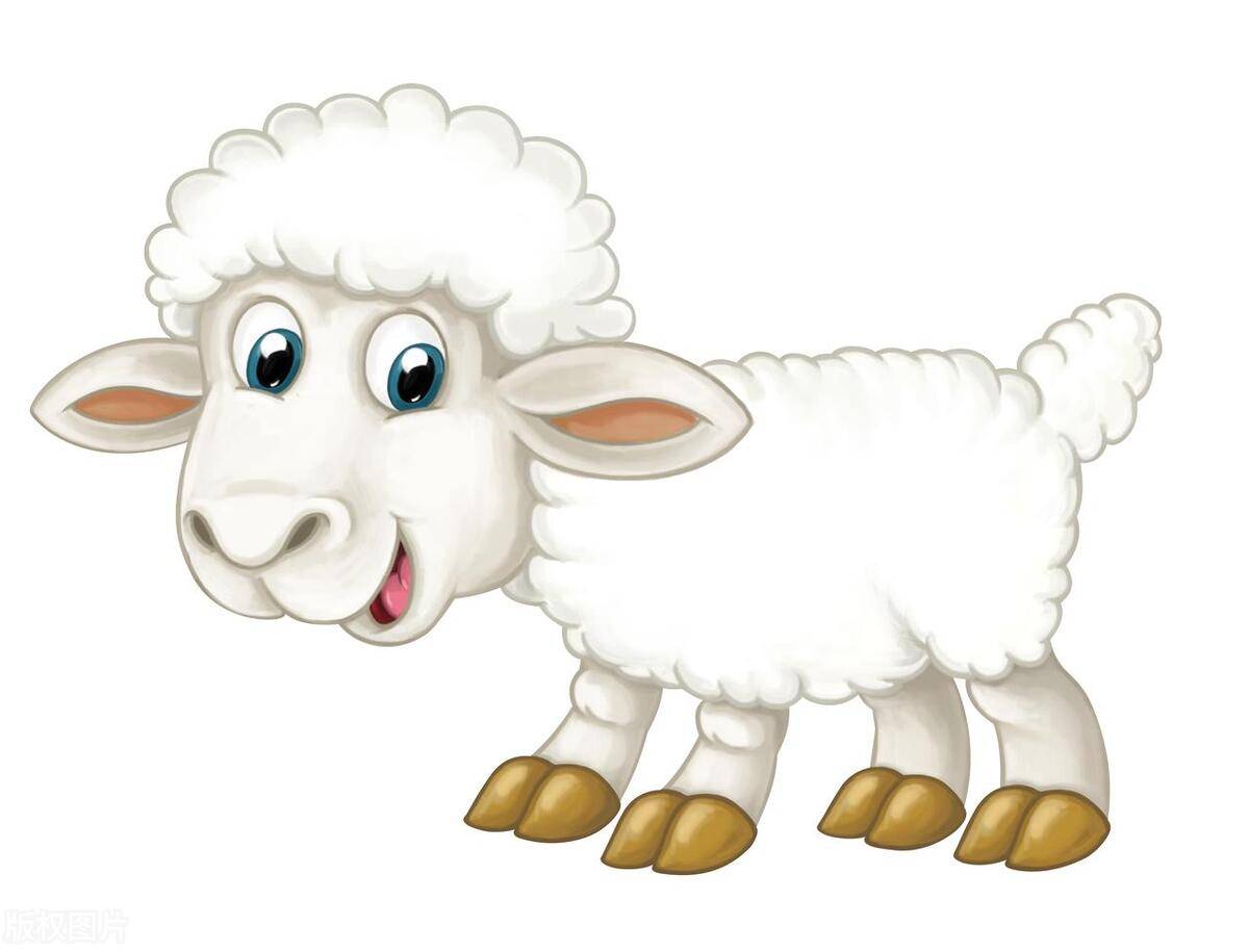 心直嘴快得罪人代表什么生肖，精选解析解释