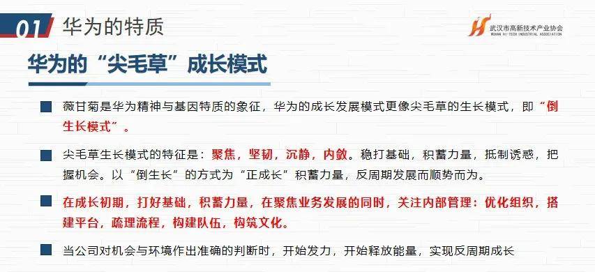 华为文化为何是高绩IM电竞 IM电竞平台效文化？协会“助企讲座”第七站走进红星杨科技(图37)