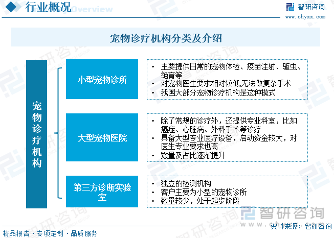 安卓【澳门资料大全免费澳门资料大全】-5G-A商用倒计时：揭秘5G Capital如何巧破部署难题！