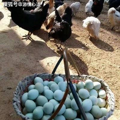 尖叫！全新儿童营养套餐：田园美味，农家蛋与手撕鸡的震撼绽放