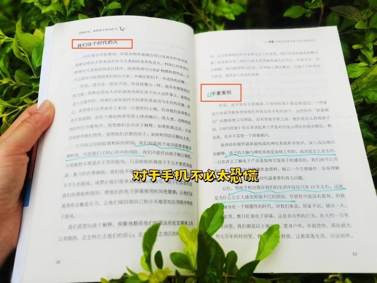 🌸【2024年澳门一肖一马期期准】🌸-京东618开门红Redmi K70超过iPhone成手机竞速榜最热销单品  第2张