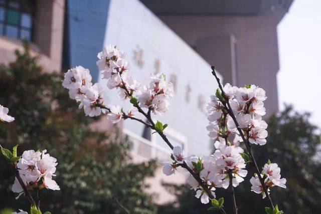 广州日报:管家婆一肖一码100中-城市：夜闯城中村 0 接管，比亚迪腾势 N7 无图城市领航实测首发  第1张