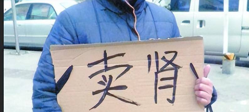 从哪可以卖肾