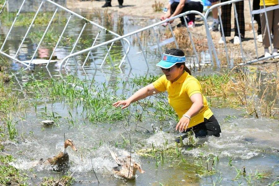 🌸河北日报【新澳门精准资料大全管家婆料】_导筒现场本周活动汇总 | 北京，上海，温州等城市进行