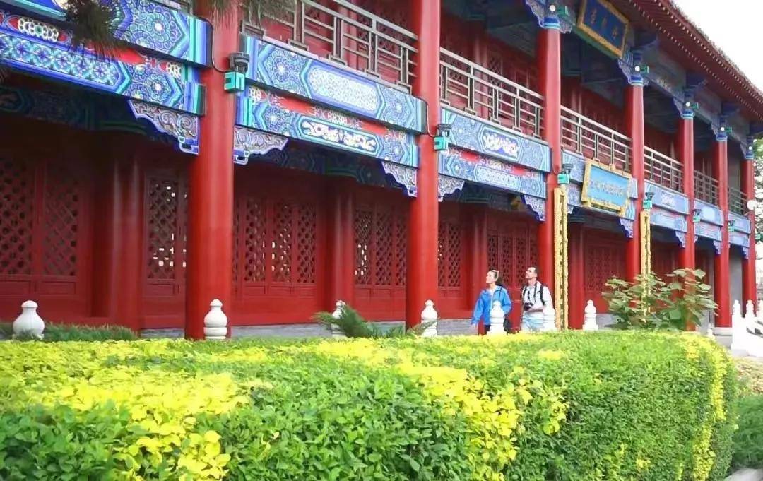 文章配图-38