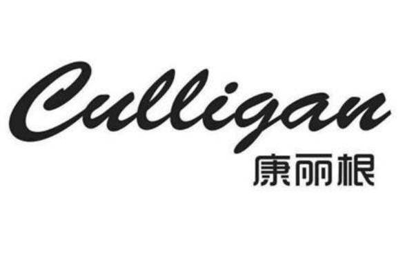 专业全屋净水器十大品牌TOP排行榜，有你习惯用的吗？
