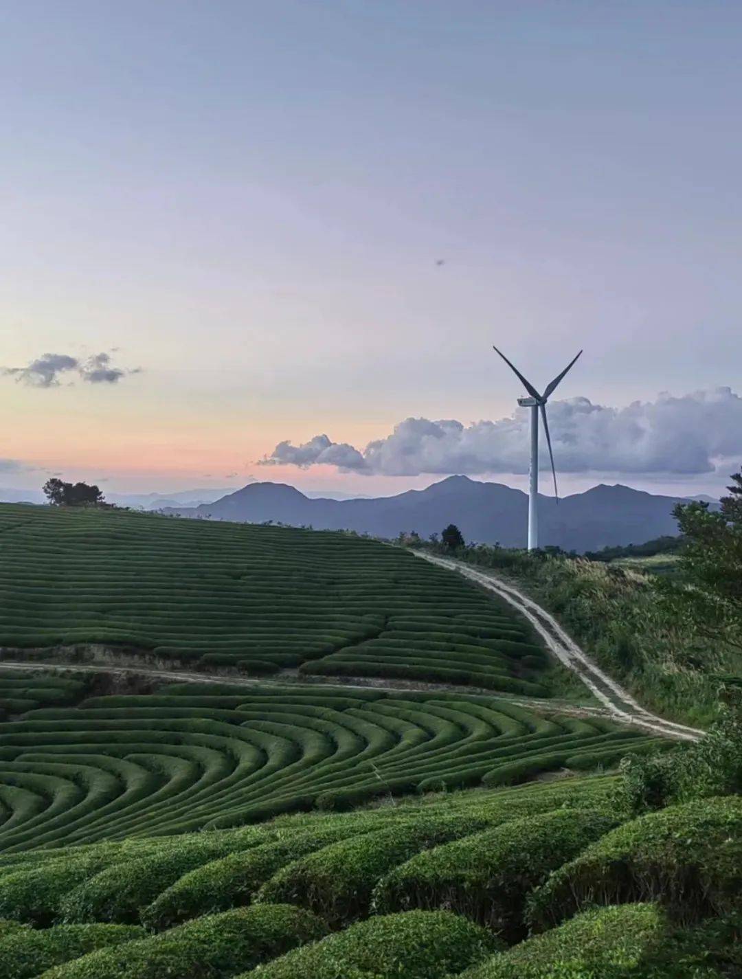 🌸中国消费网 【2023管家婆资料正版大全澳门】_聚焦城市更新中的文化驱动力，第27期SEA－Hi！论坛举行