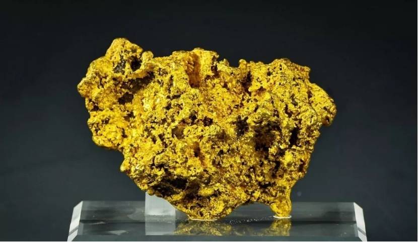 鉴赏狗头金：自然艺术的杰作与收藏界的宠儿
