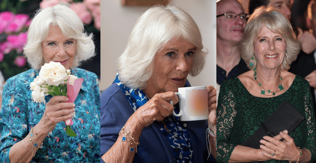 ����ű�ȫ���Ǽ�,Ϊʲô���ͨ���Ŷ���?��������ͽ���ж����