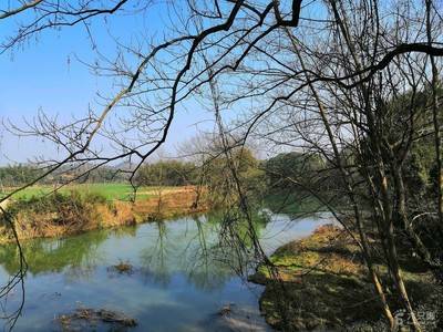 原创 湖南平江大暴雨,致使县城被淹,为何水排不出去?-湖南平江一人被害