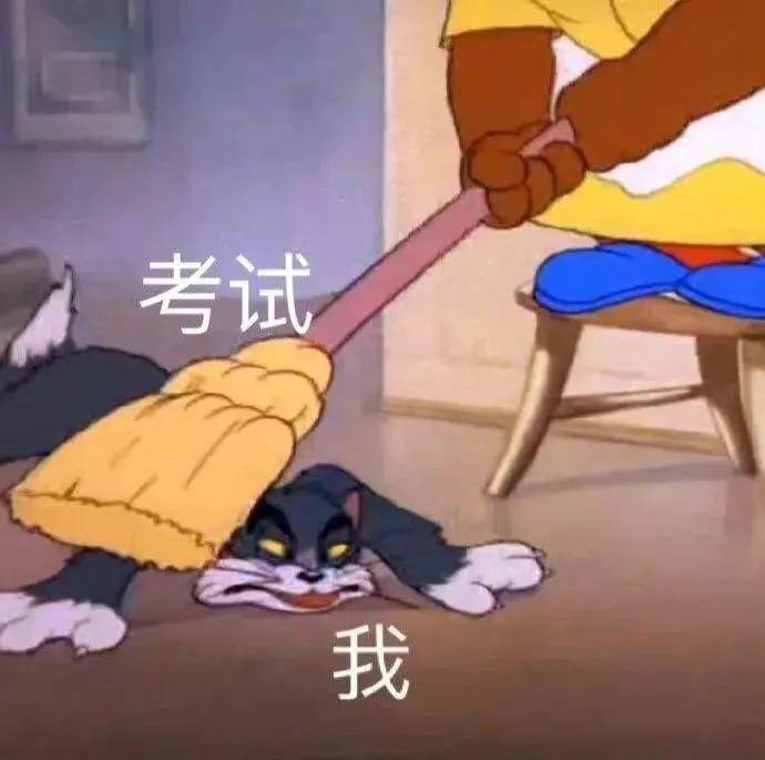 录取线比复试线高19分！厦门大学环境上岸难度真的那么大？