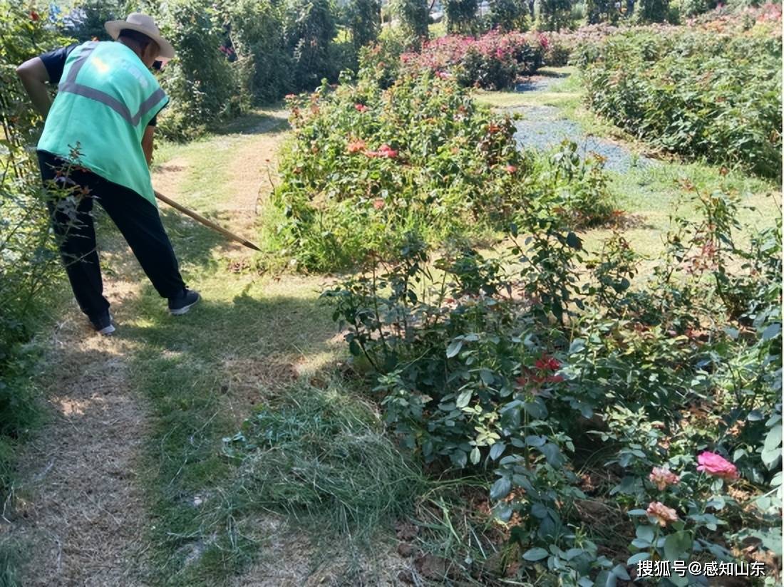 运城新闻:管家婆三肖一码一定中特-城市：城市更新项目库新增20个  第2张