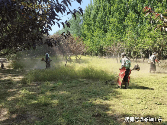 中国税网 :管家婆一肖一码必中一肖-城市：北京城市新地标！中建一局中标北京朝阳颐堤港二期627地块项目  第6张