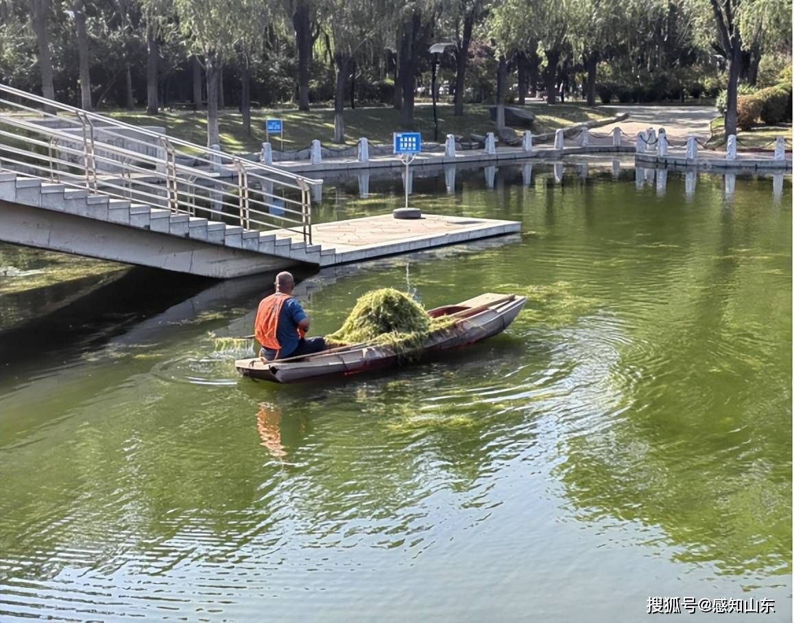 🌸【494949澳门今晚开什么】🌸_搜狐全球医讯 | 九月起美国这个城市将启动“无人机AED”急救