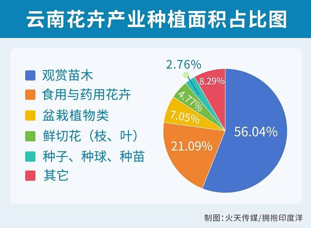 CQ9电子 CQ9传奇电子乘风而起把风留住：云花的气质就是要漂洋过海(图1)