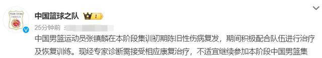 原创男篮再传霹雳消息！辽篮锋线核心张镇麟官宣离队，杨鸣心中不免紧张