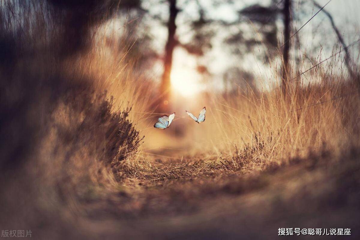 心思缜密，心细如发的三个星座！感情最细腻真挚！