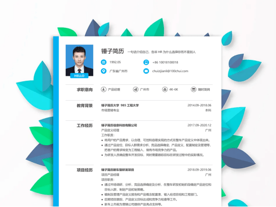 电商总监工作经历简历范文