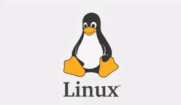 寻找Linux爱好者，你的网名是什么？  第1张