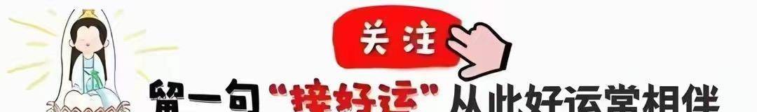 未羊：十年的忍耐9月转运走出低谷，事业大放异彩！