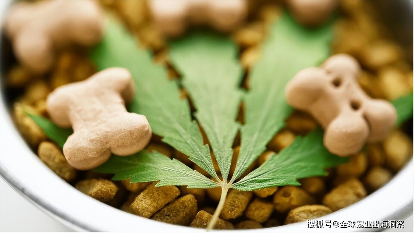 国产宠食品牌市占暴涨一企业推“黑神话”色彩宠物尿垫还有…双赢彩票平台(图12)