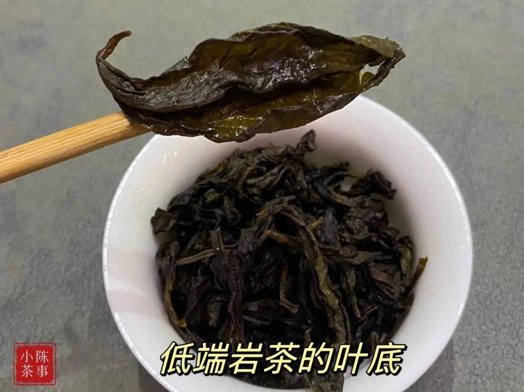 原创
50块一斤的岩茶能喝吗?我专门买了一份,现场试喝给你看