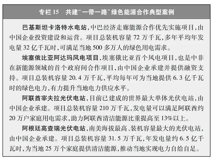 中国的能源转型白皮书（全文）(图19)