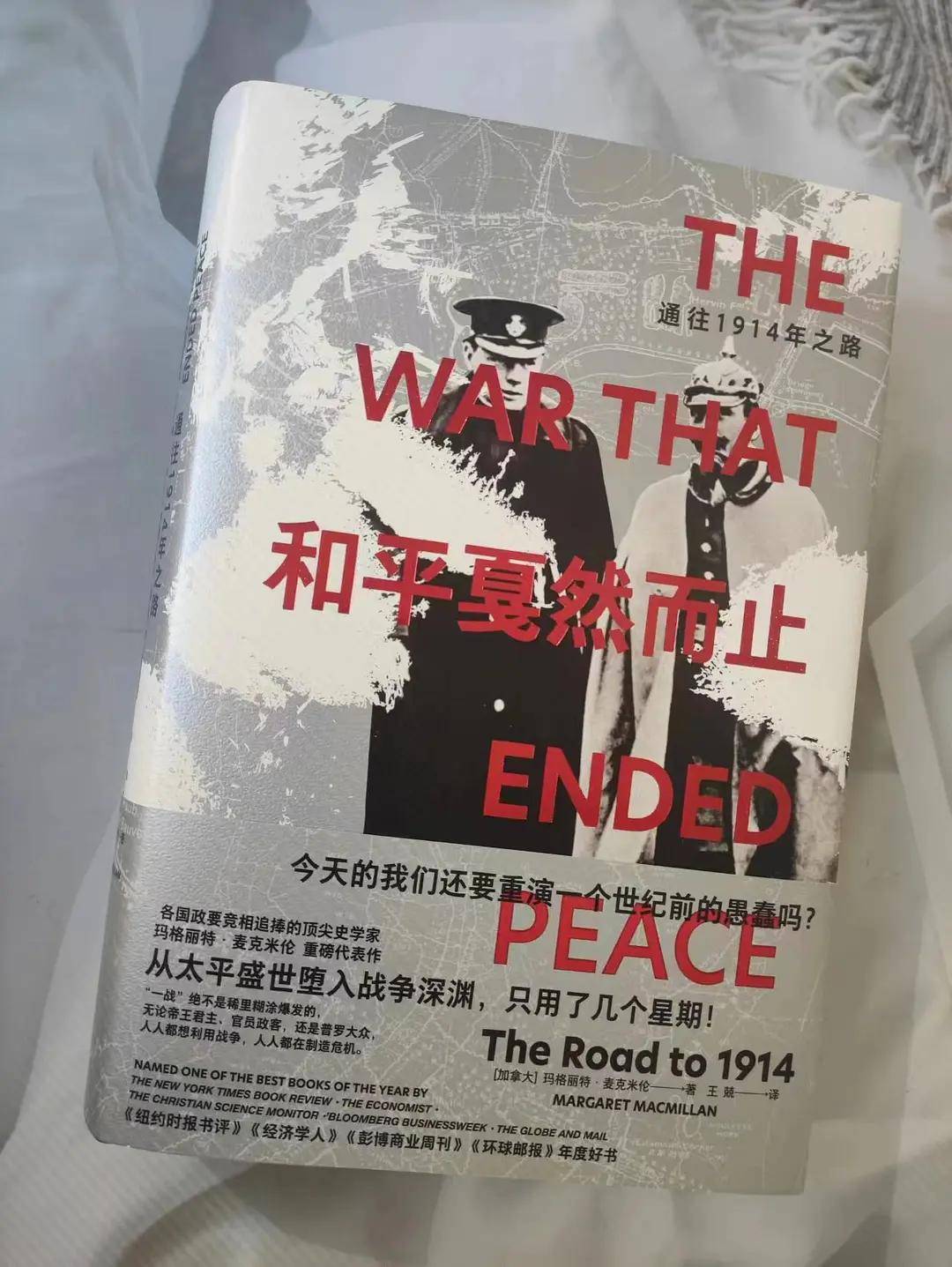 《和平戛然而止》究竟是什么导致了一战爆发？