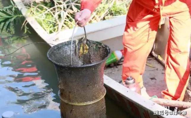 星空体育网址水上垃圾桶助力清理河道优化水生态环境(图4)