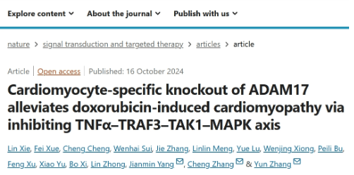 张运院士团队开辟治疗阿霉素诱导心肌病新途径(图1)