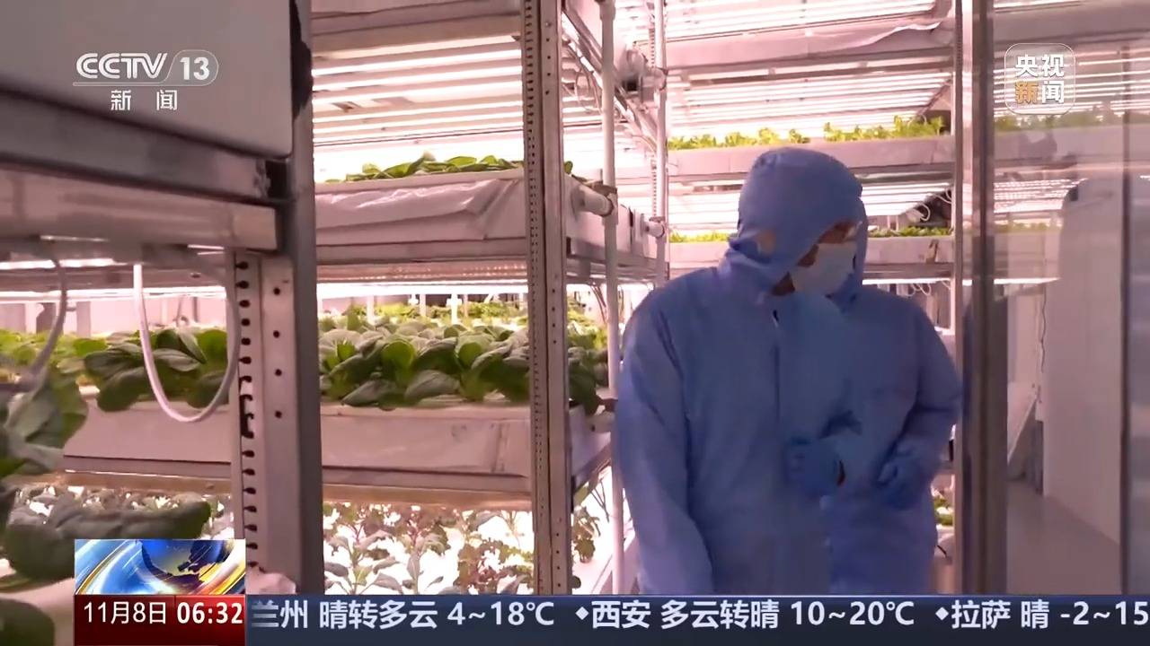 植物工厂长啥样？沙漠里能种水稻？揭秘种菜“黑科技”天博电竞登录(图6)