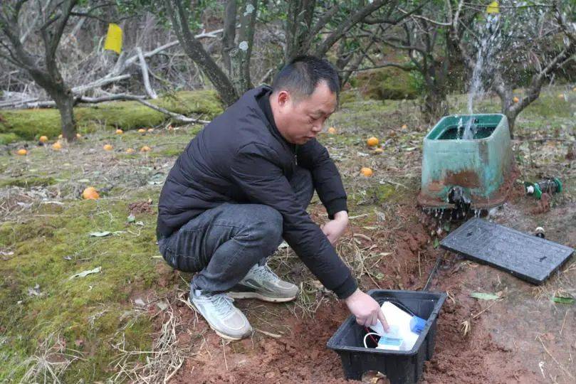 凤凰联盟入口一刷卡就出水龙泉驿农田灌溉“开”启智能模式(图1)