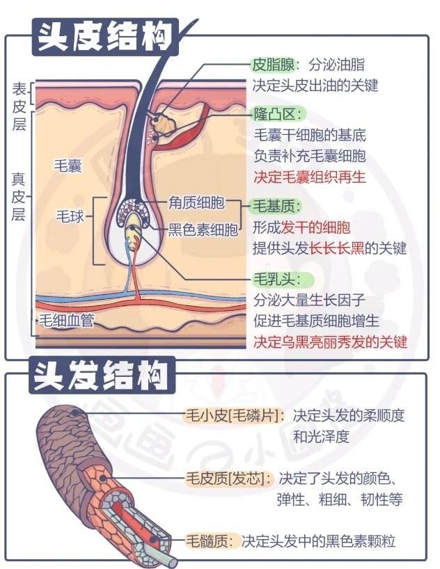 育发液哪个牌子好用又持久，它入手值！