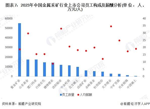 【前瞻解读】20242029年中国金属采矿行业上市公司业务布局分析