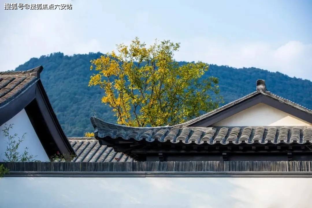 文章配图-5