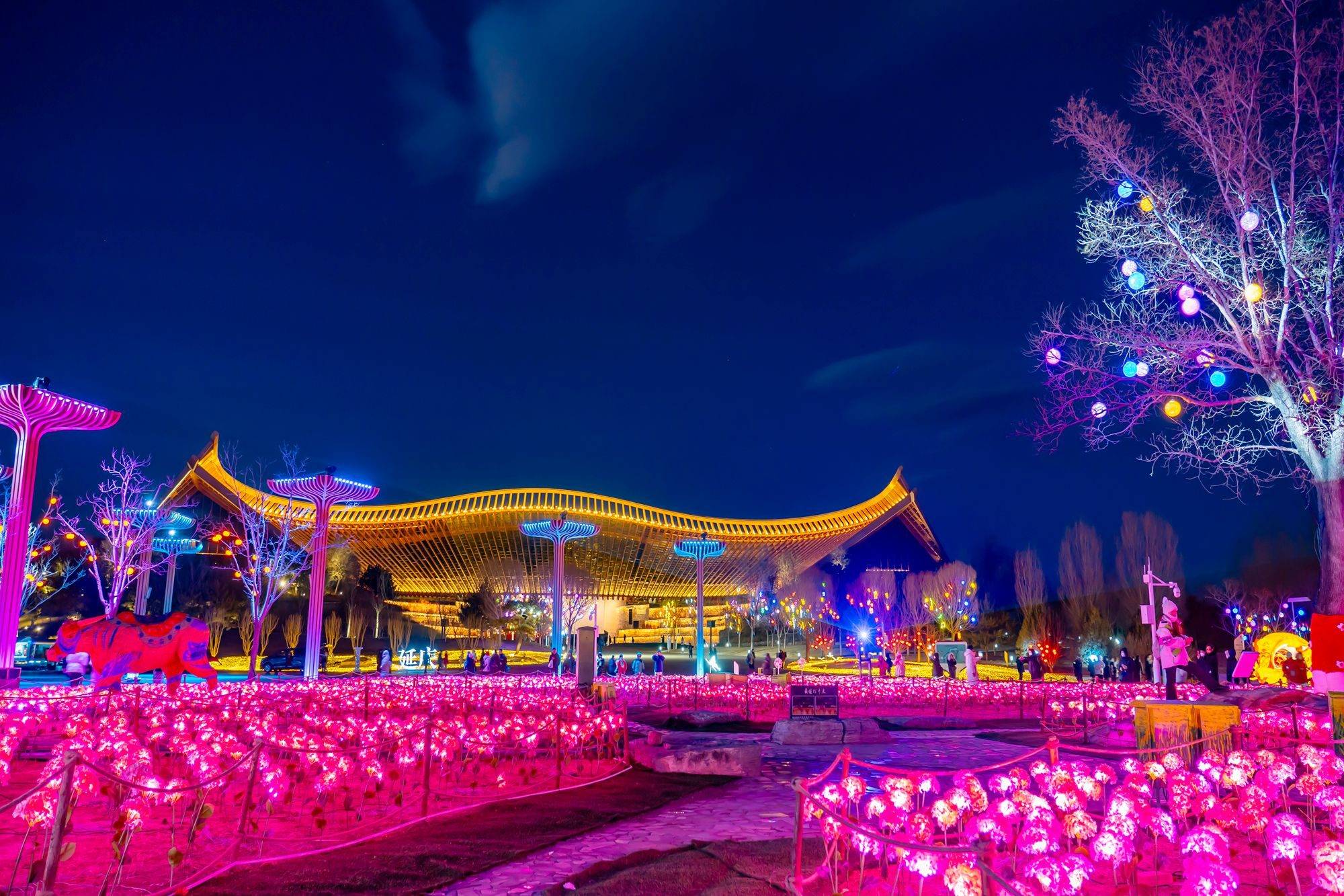 北京世园花灯艺术节赏花灯过大年传统与科技交织充满浪漫(图4)
